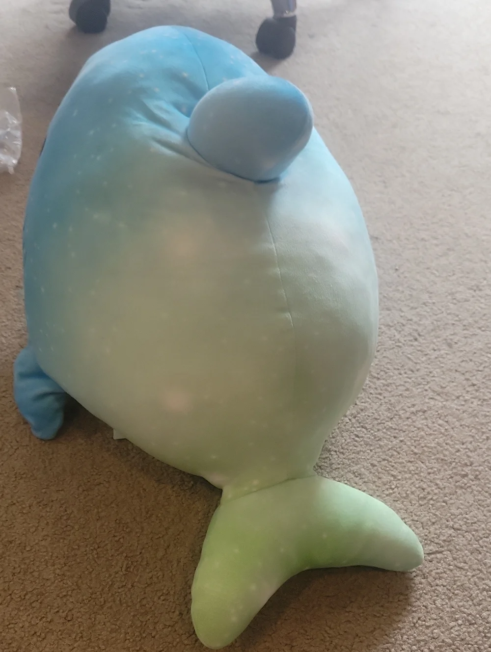 Giant Squishmellow Shark